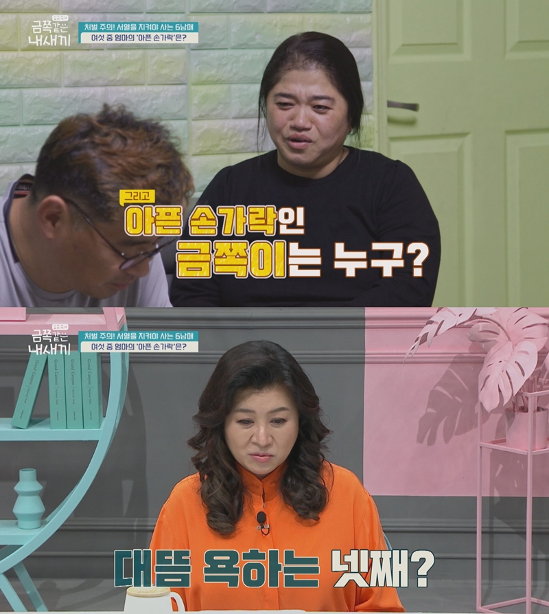 오은영의 금쪽같은 내새끼