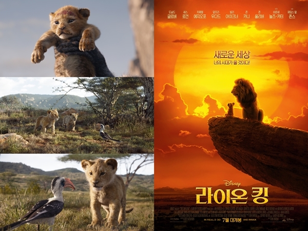 라이온킹